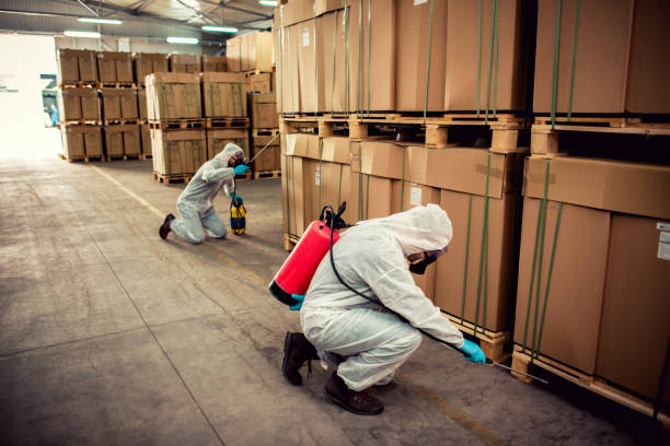 Best Pest Control Near Me  in Waverly, OH