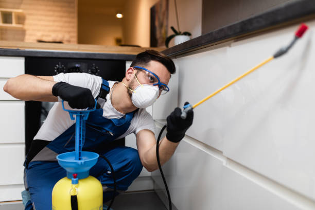 Best Pest Control for Homes  in Waverly, OH