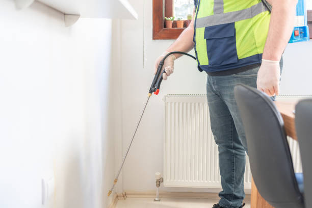 Best Rat Extermination Near Me  in Waverly, OH