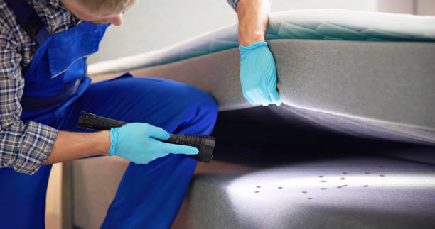 Best Best Pest Control Companies  in Waverly, OH
